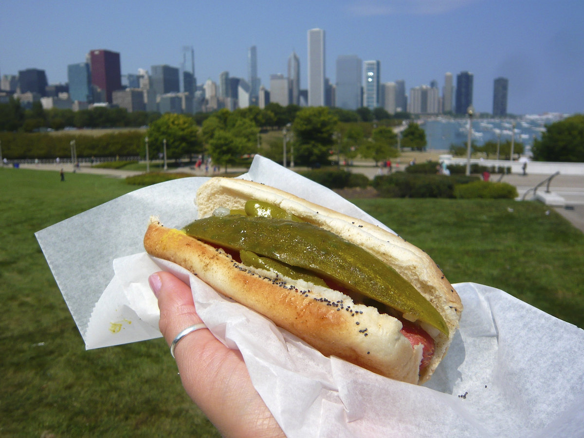 uno sostiene un hot dog al estilo de Chicago con salchicha pulida y pepinillos en un panecillo con el horizonte de Chicago al fondo