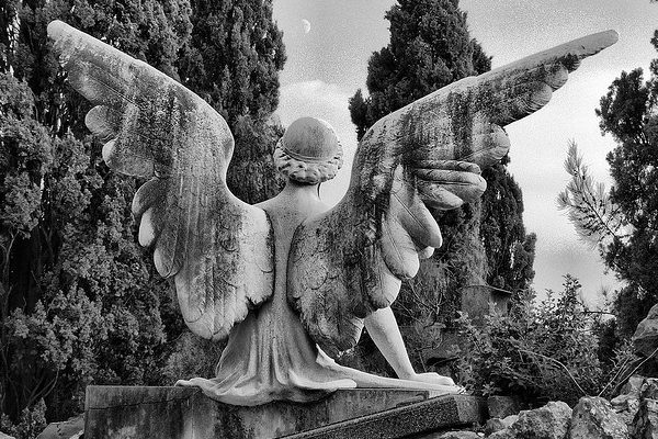 Puede que Halloween en Barcelona no sea el evento de otoño más popular, ¡pero eso no significa que la ciudad no se vuelva espeluznante! ¡Visita el cementerio más grande de la ciudad en Montjuic!