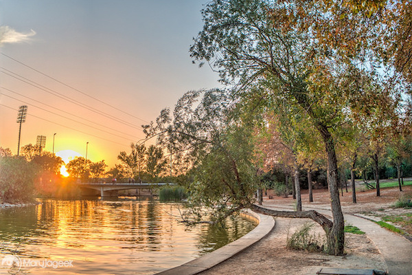 ¡Parque Alamillo, uno de nuestros parques favoritos en Sevilla!