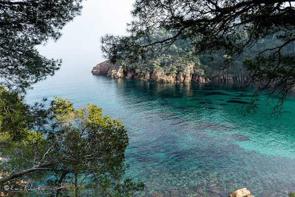 ¡Explora las mejores playas de la Costa Brava con nuestro guía!