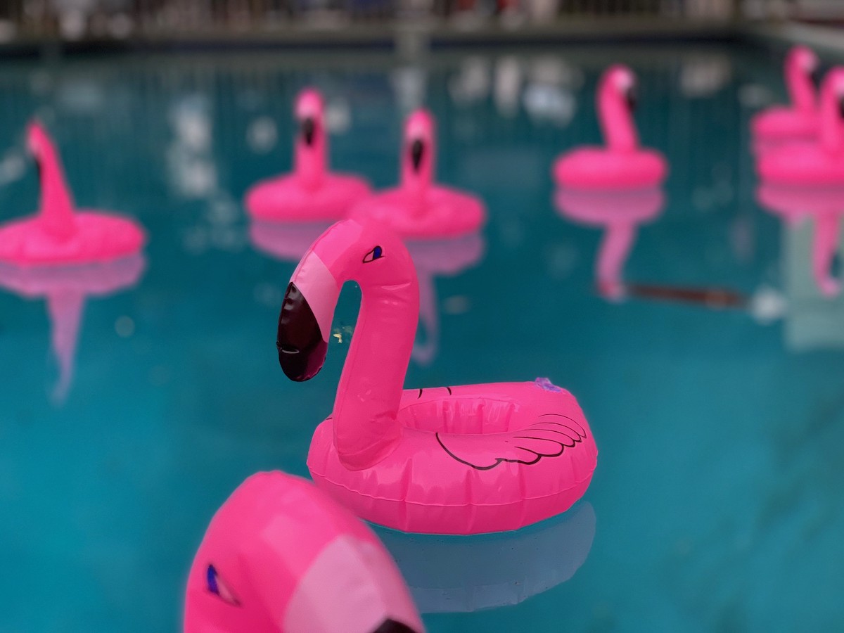 Flota cerca de flamencos inflables rosados ​​en una piscina