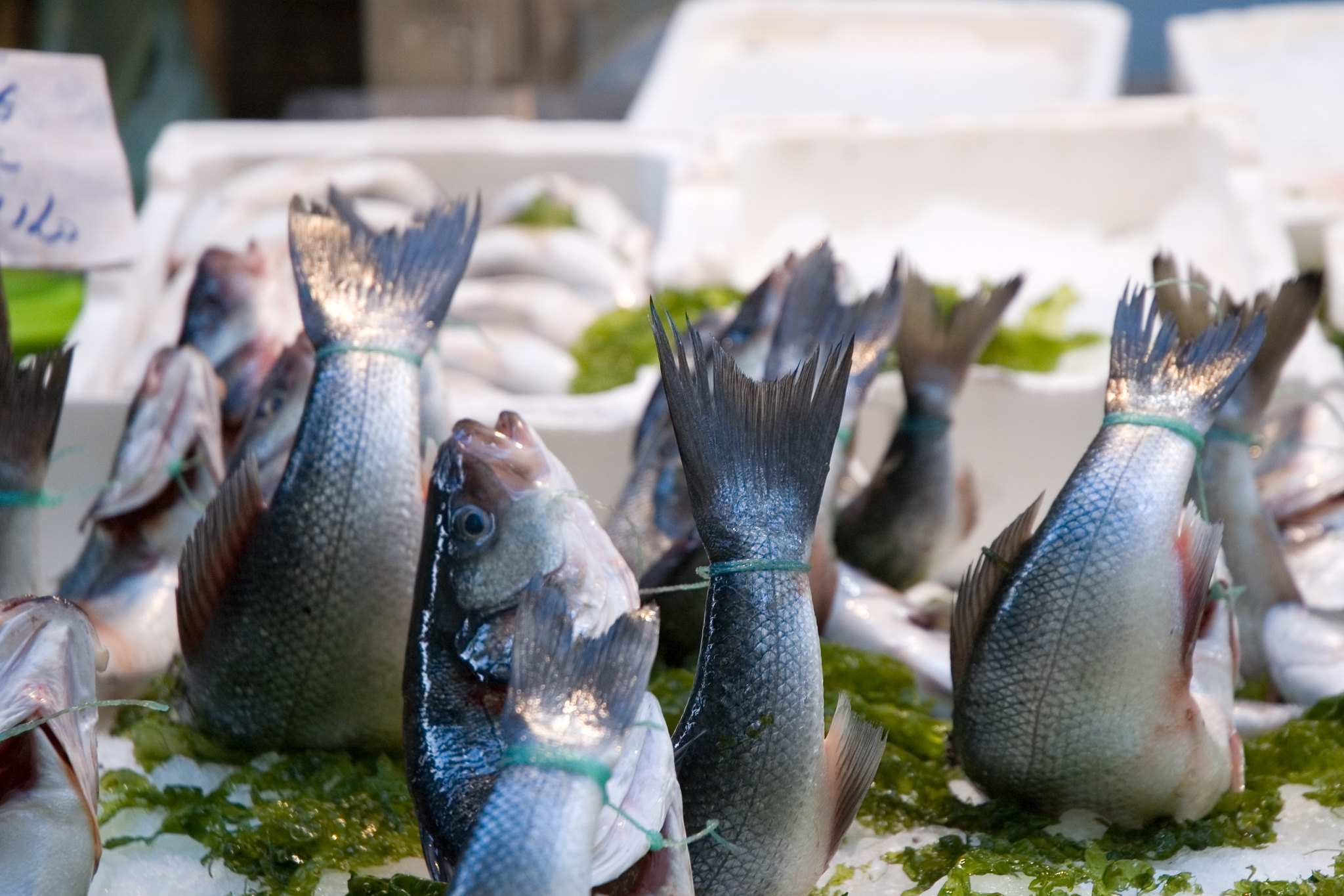 Pescado fresco a la venta en un mercado de Nápoles