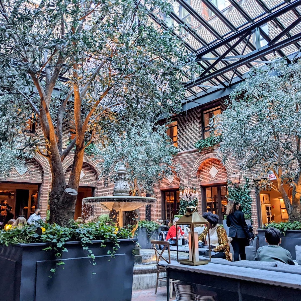 Patio interior con grandes lucernarios y olivos
