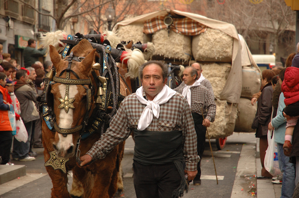 Uno de los eventos más singulares que tendrá lugar en Barcelona en enero es la procesión de Tres Tombs. Cientos de lugareños salen para que un sacerdote bendiga a sus mascotas como parte de una tradición milenaria.