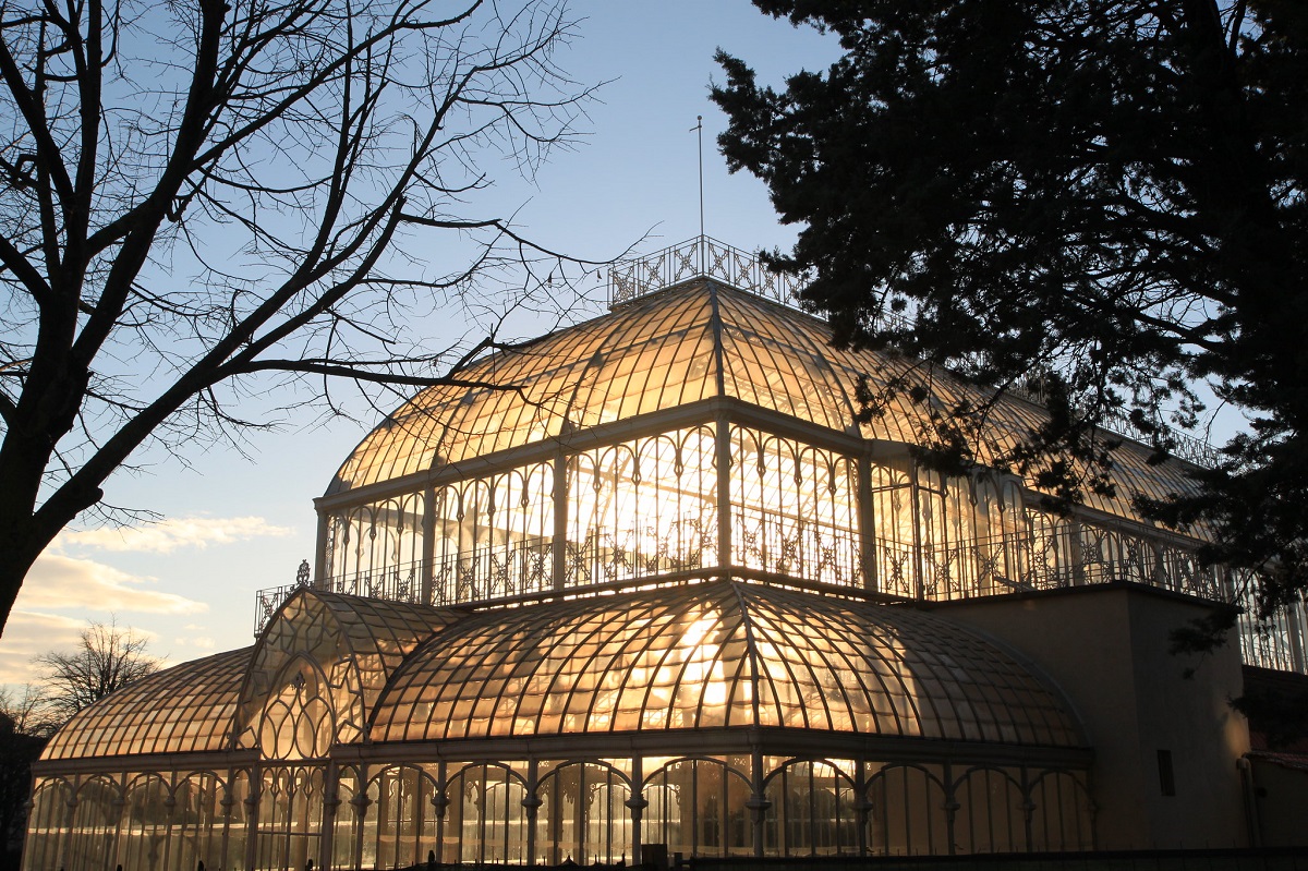Una estructura alta de acero y vidrio refleja la luz en la noche con árboles alrededor