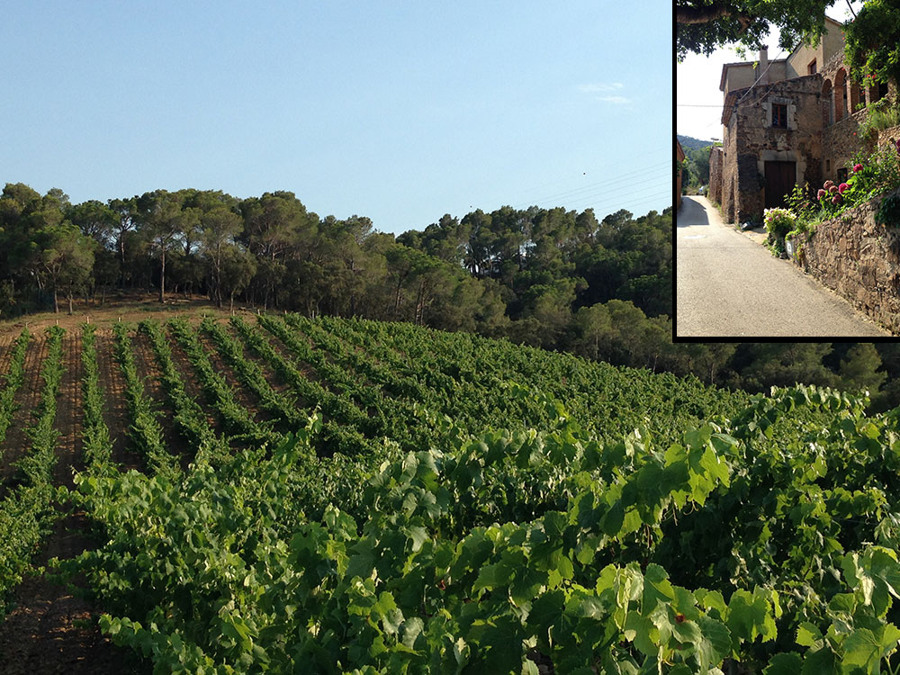 Bodegas CanSais en Barcelona