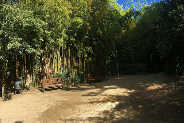 ¡Echa un vistazo a los jardines que vale la pena visitar en Barcelona en nuestra publicación sobre algunos de nuestros lugares favoritos!