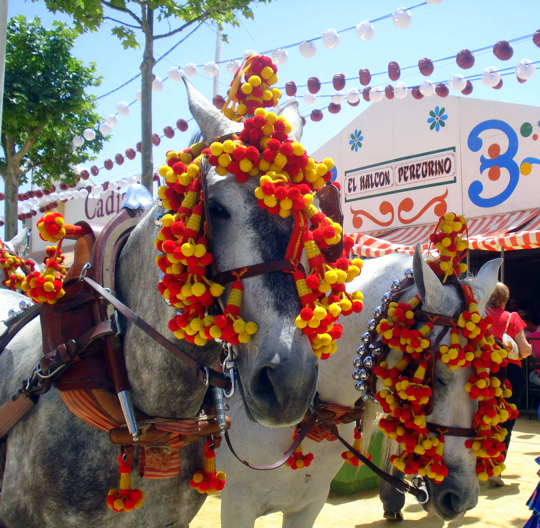 Los caballos en la feria de Sevilla a menudo se visten con flores brillantes y adornos en la cabeza, a juego con los colores brillantes de los vestidos de la celebración.