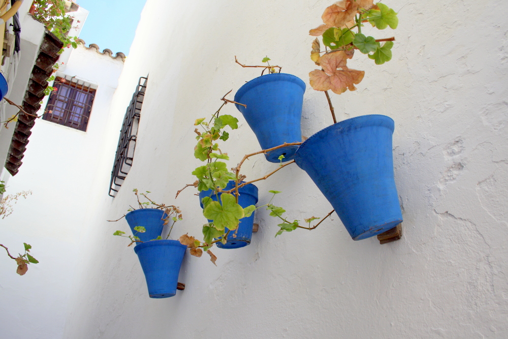 ¡Córdoba es una de las mejores excursiones de un día desde Sevilla! 