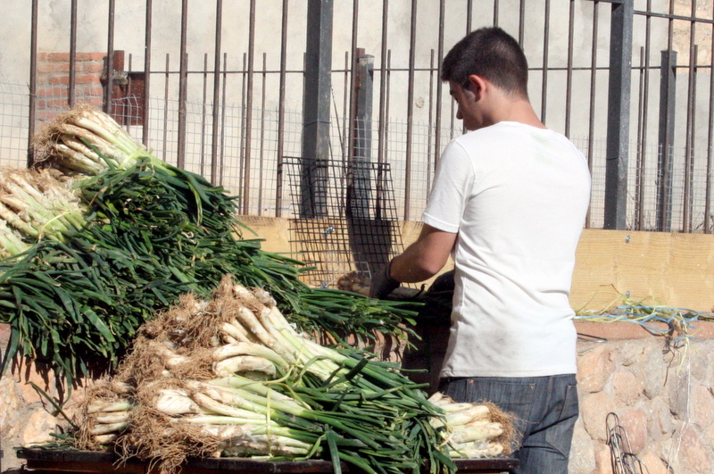 ¿Buscas dónde comer calcots cerca de Barcelona? ¡Echa un vistazo a nuestra Experiencia Auténtica de Calçot Village!
