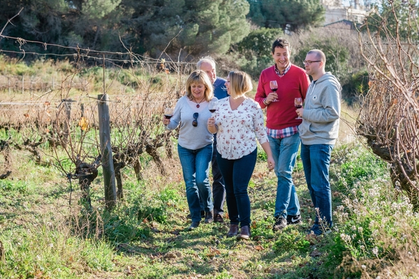 Grupo en un tour de viñedos
