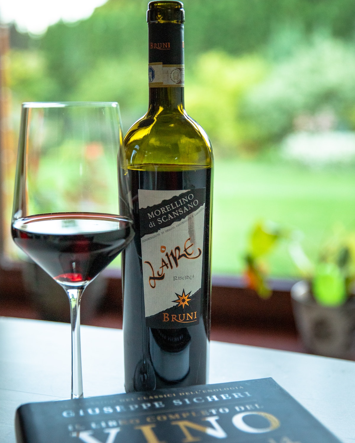 Una copa de vino tinto junto a la botella de vino y un viñedo verde al fondo.
