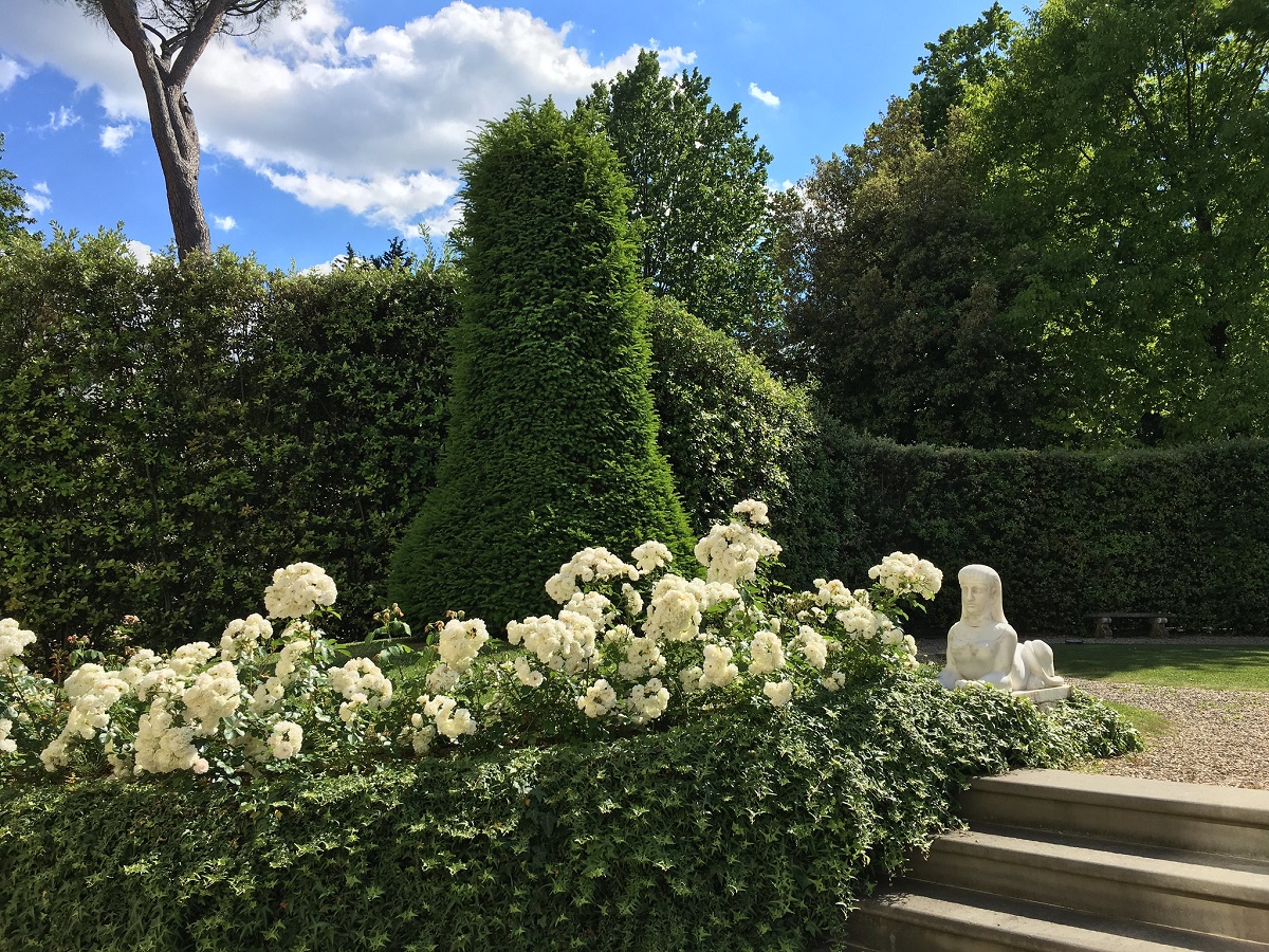 Un cuidado jardín con rosales blancos, arbustos verdes, una pequeña escalera y una pequeña estatua.