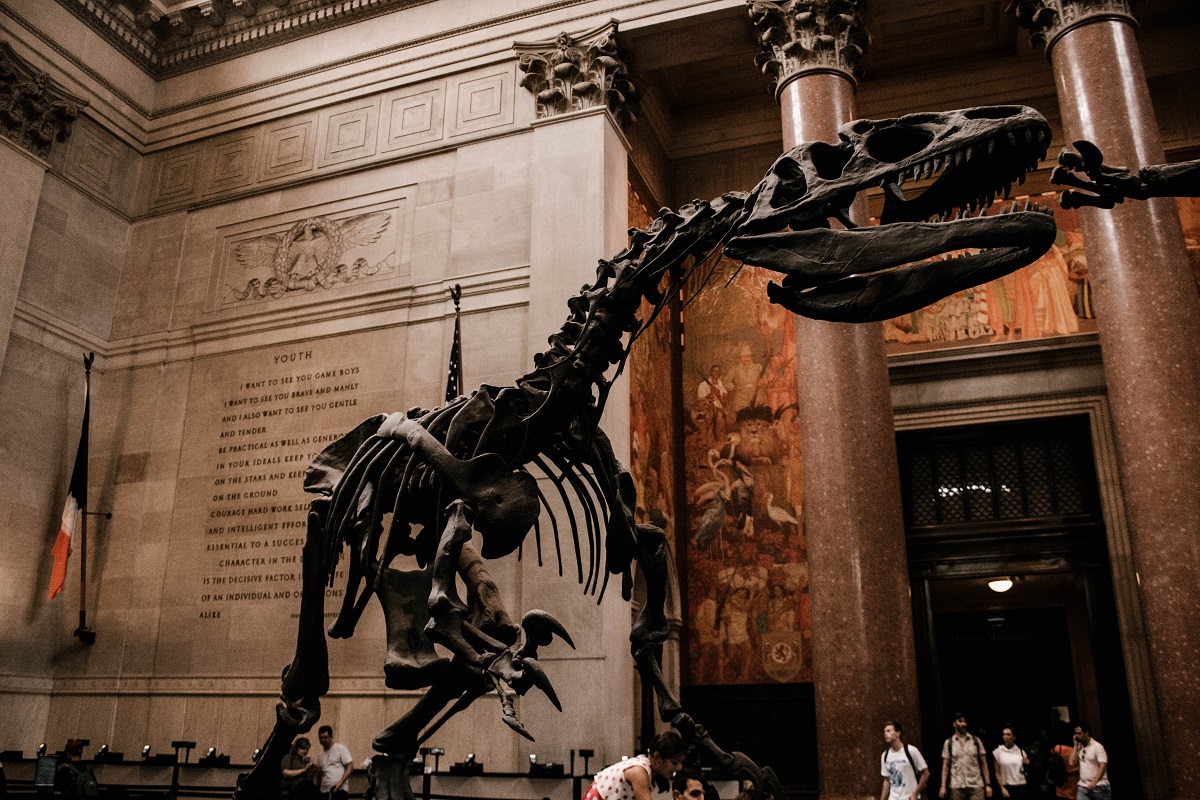 Esqueleto de dinosaurio dentro de un museo con gente