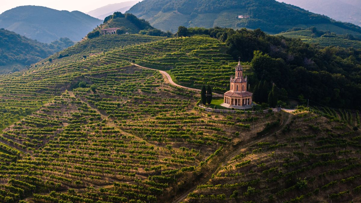 una antigua iglesia rodeada de colinas con viñedos