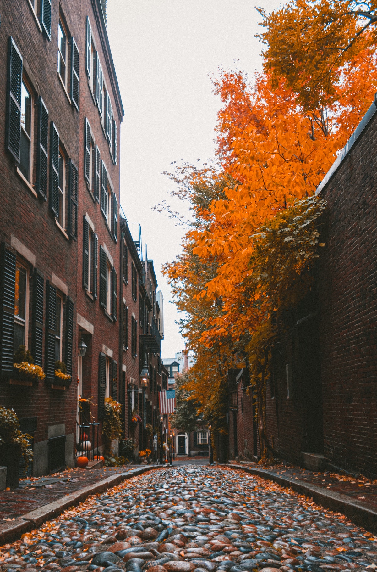 una calle adoquinada de Boston con viejos edificios de ladrillo a cada lado, con árboles con vibrantes hojas otoñales anaranjadas a la derecha.
