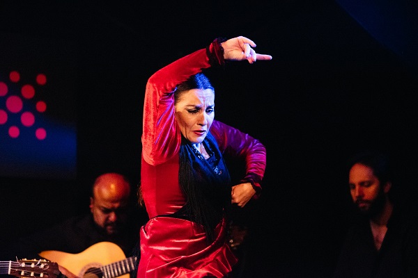 En un auténtico espectáculo de flamenco en Sevilla, debes estar en un local pequeño donde puedas ver la emoción en los rostros de los intérpretes