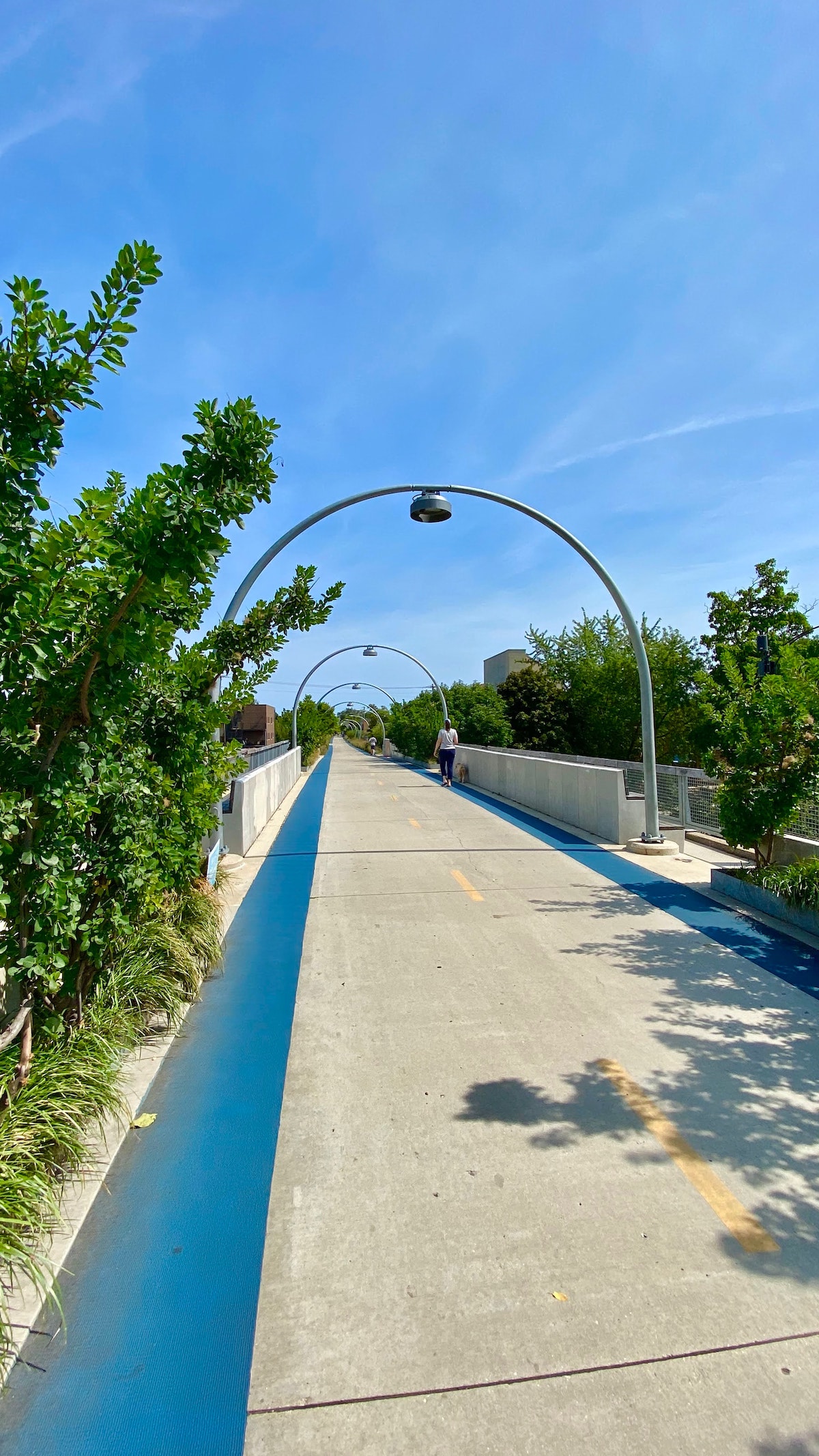 una persona camina a lo lejos por un camino pavimentado de hormigón flanqueado por árboles