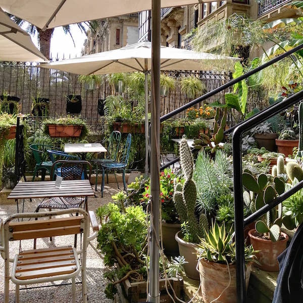 Kafe Botanica no solo tiene algunos de los mejores cafés de San Sebastián. ¡También hay un hermoso jardín al aire libre donde puedes relajarte y disfrutar de tu bebida!