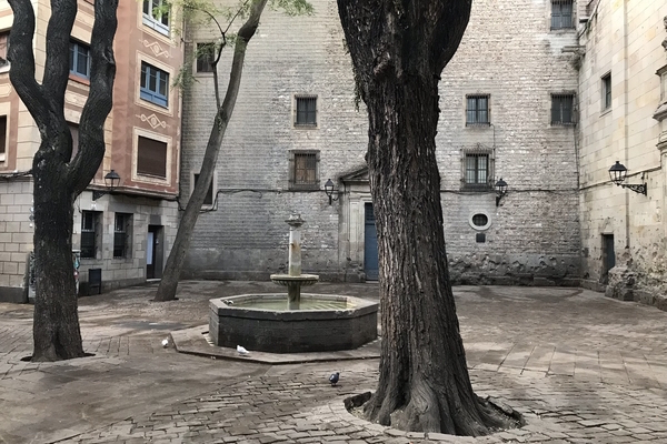 Muchos de los mejores lugares para tomar fotografías en Barcelona están escondidos donde la mayoría de los turistas nunca los encuentran.