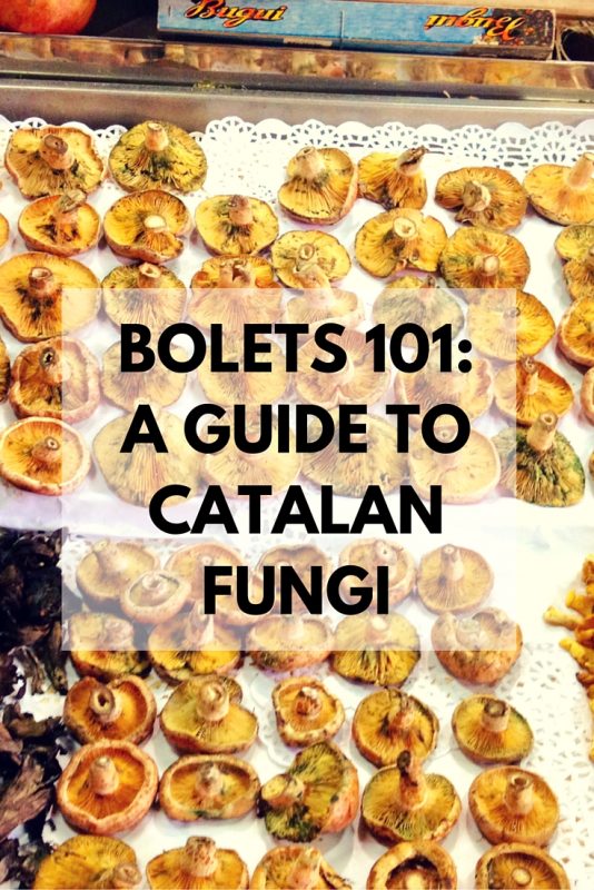 Las setas brotan por doquier en los mercados y son solo una de las maravillas que componen la gastronomía de Barcelona. Los catalanes se toman muy en serio sus setas, y el otoño es un buen momento para probar todo tipo de especialidades de temporada inspiradas en las diferentes hongos que crece aquí!