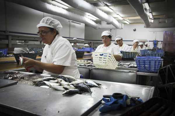 Como la fábrica de conservas de mayor éxito en el sur de Portugal, Conserveira do Sul prioriza el bienestar de sus trabajadores.