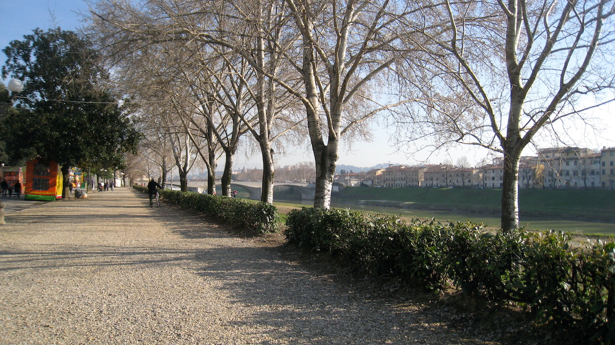Un amplio paseo junto al río bordeado de árboles y arbustos.