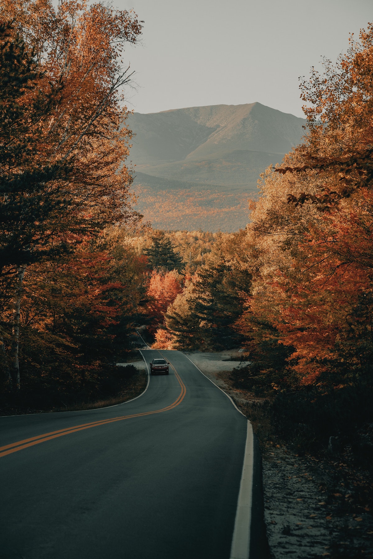 Un coche conduce por una carretera sinuosa con montañas al fondo y árboles con hojas de otoño rojas y doradas que bordean la carretera