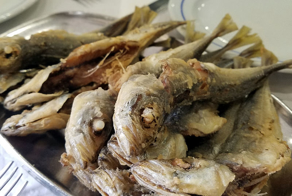 ¡No hay nada que nos guste más que comer un plato de sardinas deliciosas y saludables!