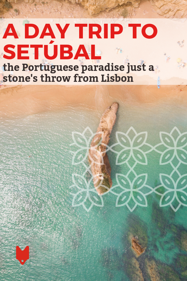 Una excursión de un día a Setúbal es imprescindible durante su estancia en Lisboa. Aquí le mostramos cómo aprovecharlo al máximo.