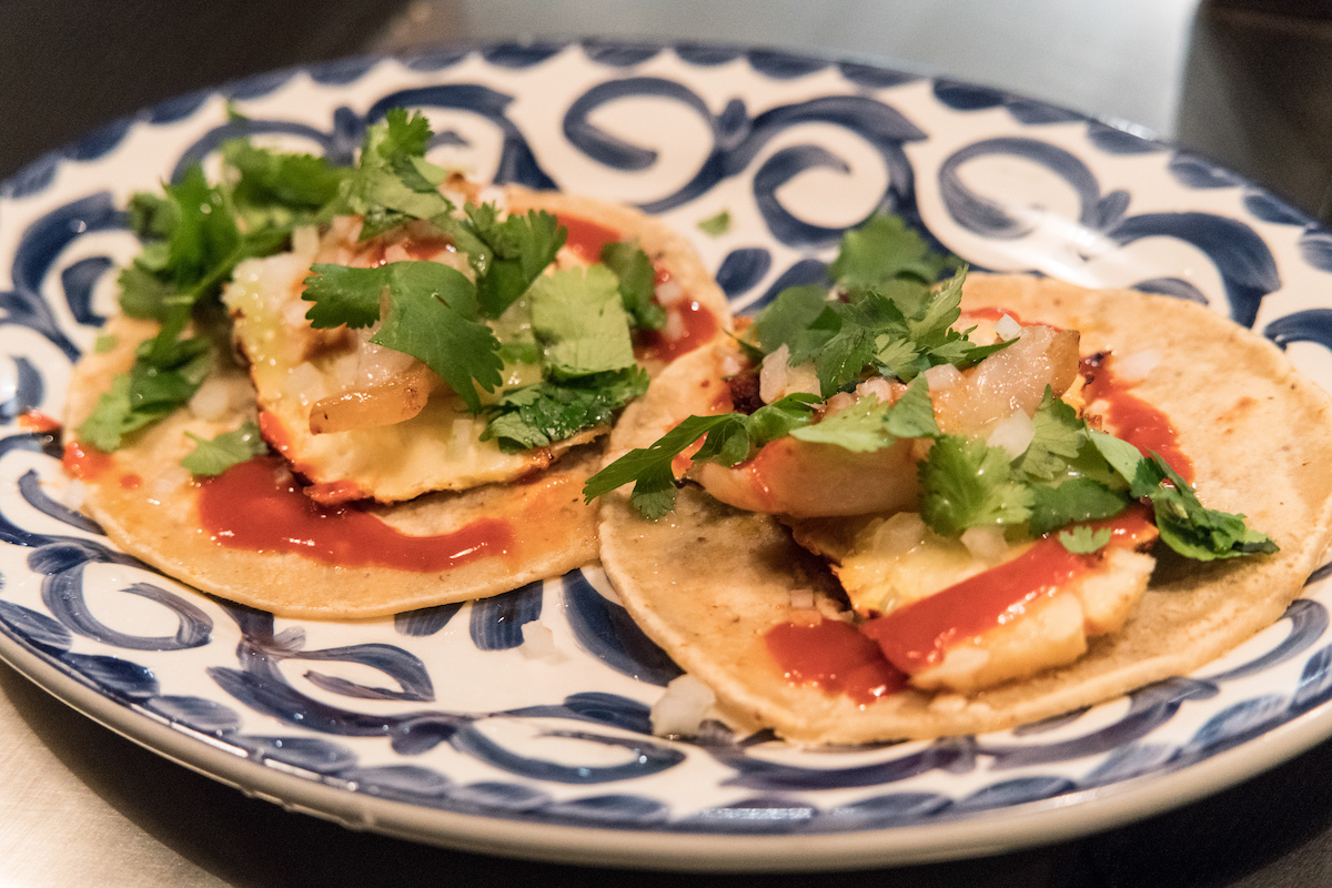 Dos tacos adornados con cilantro servidos en un plato azul y blanco.