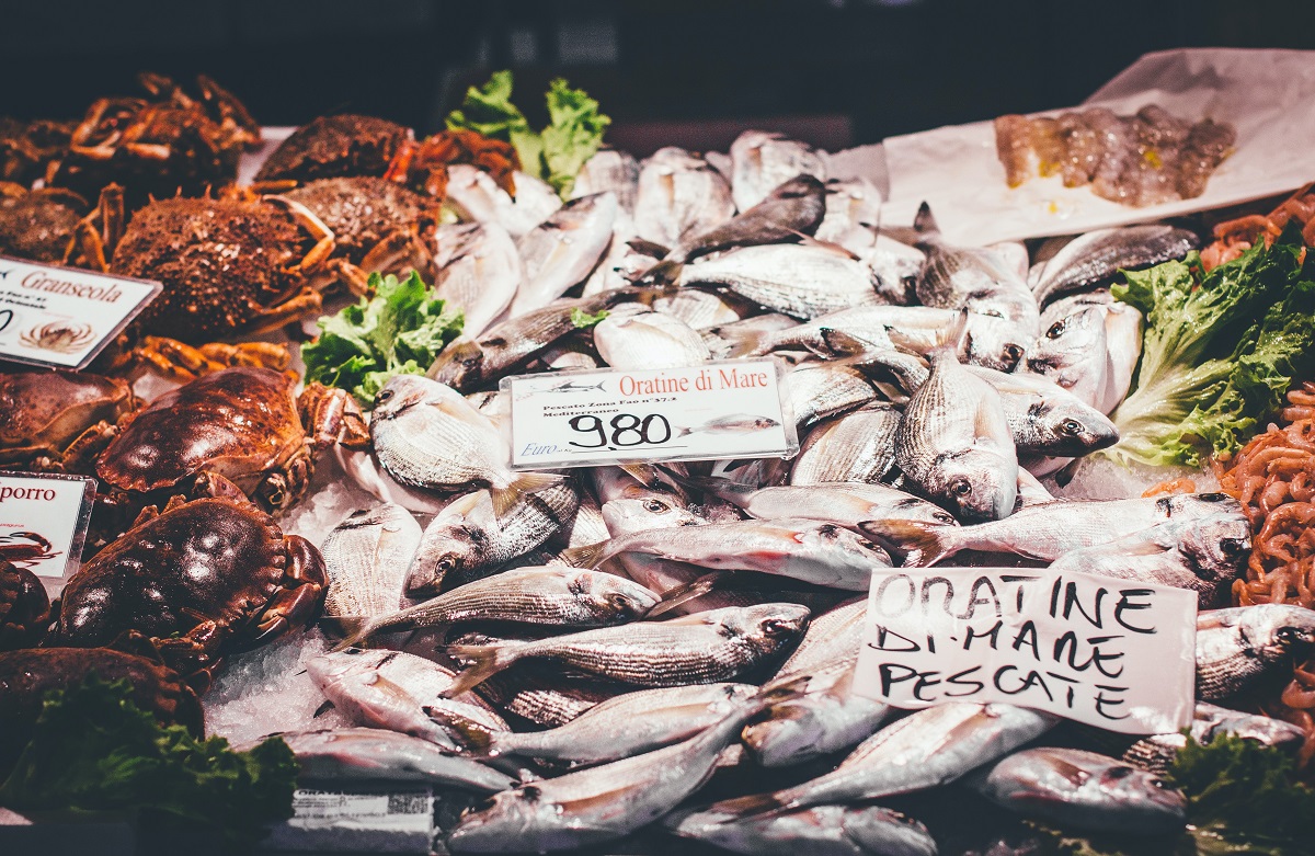 Mercado de alimentos de Venecia que vende pescado fresco en hielo