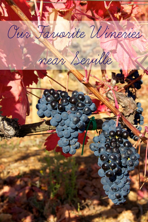 ¡Una lista útil de las bodegas favoritas de Devour Sevilla cerca de Sevilla! Perfecto para excursiones de un día en el área local de Andalucía.