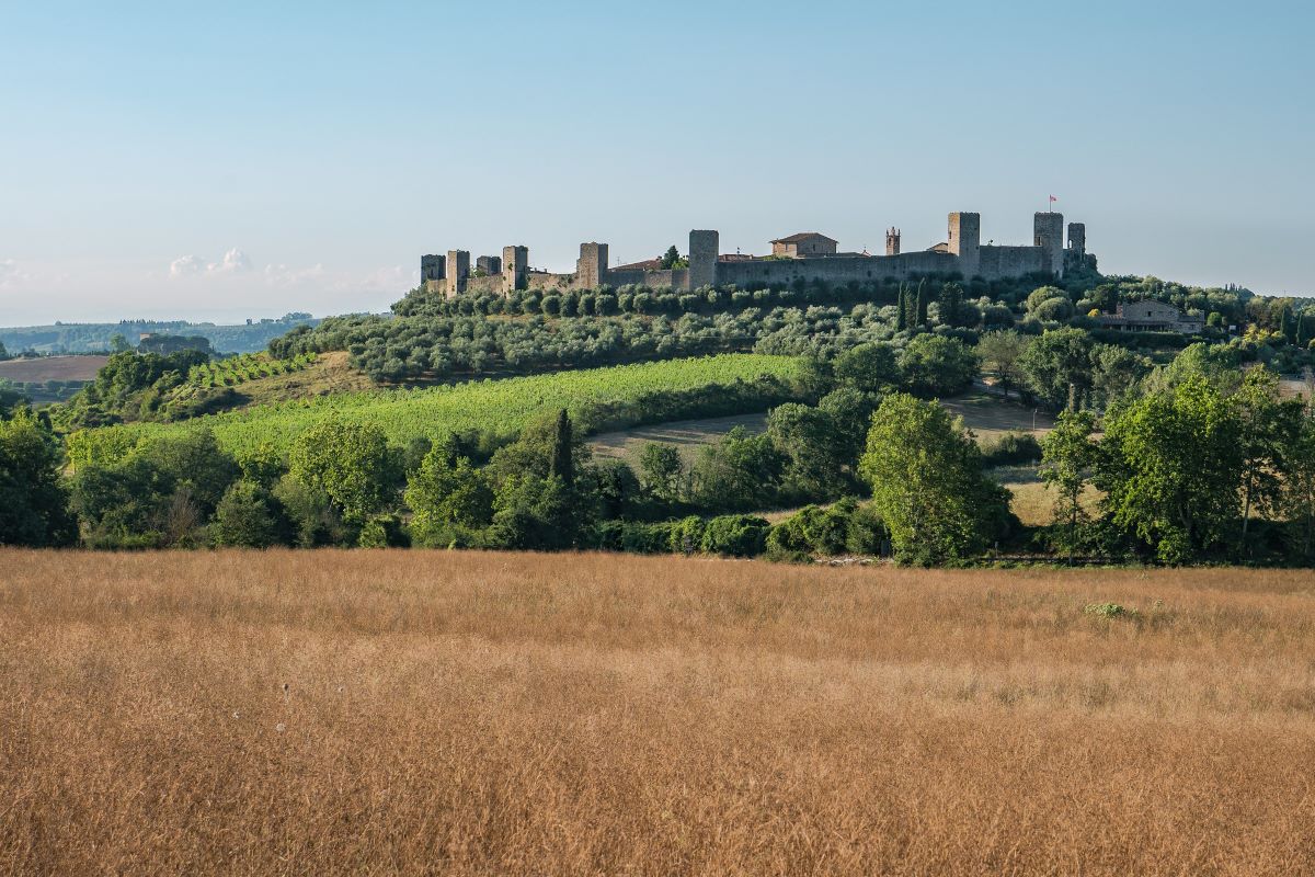 un castillo en lo alto de una colina rodeado de hierba y árboles 