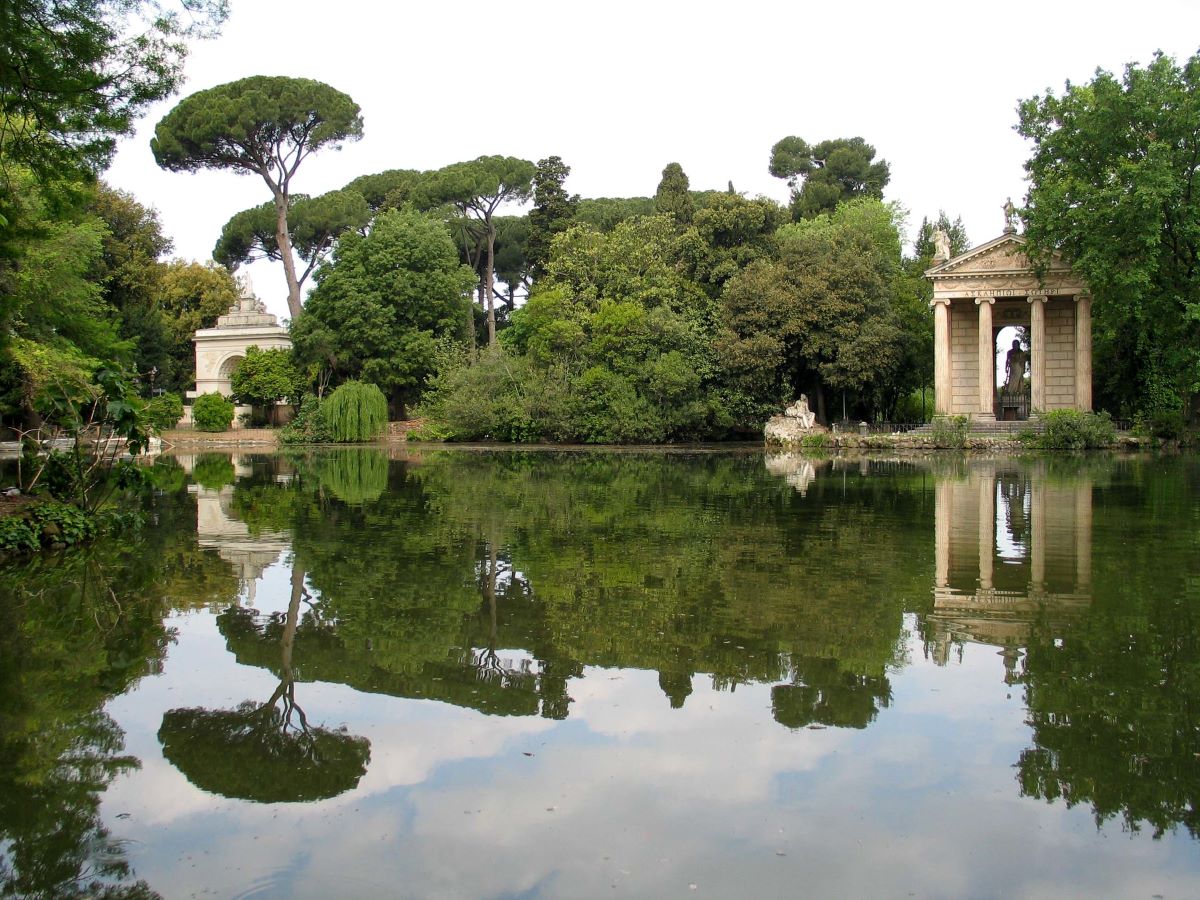 árboles verdes con reflejo de lago y árbol