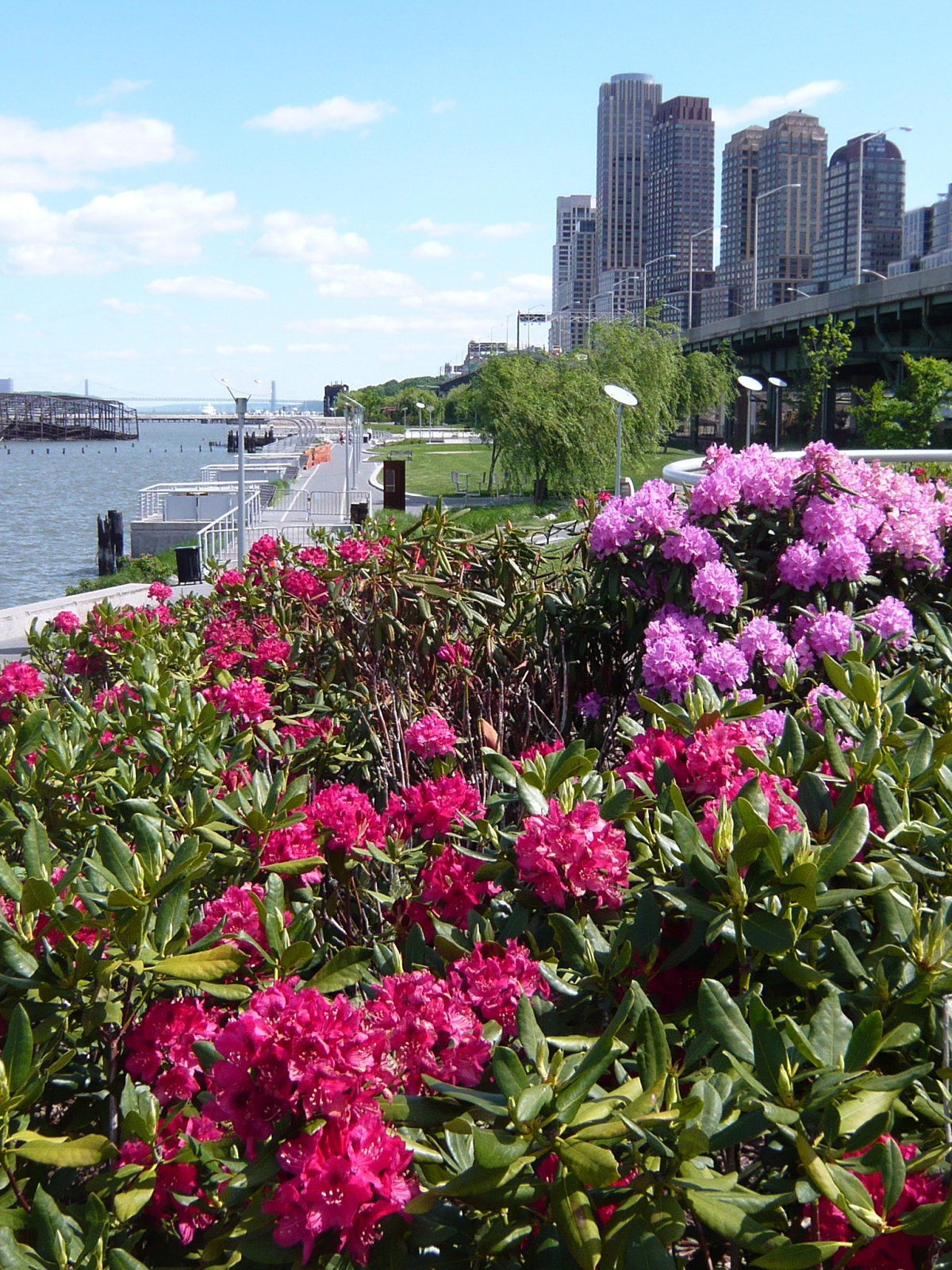 Riverside Park, uno de los mejores parques de Nueva York, lleno de flores y vegetación durante el verano