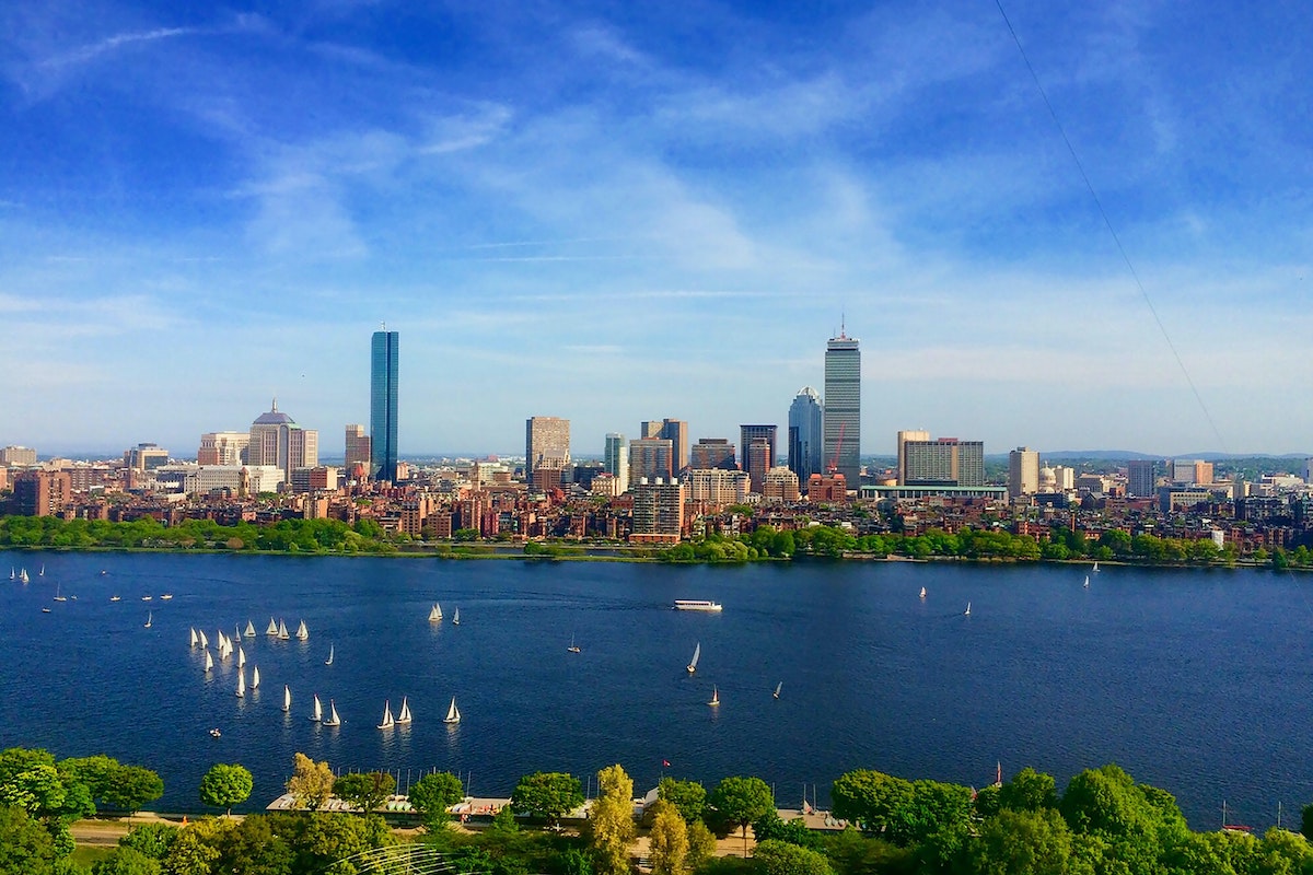 El horizonte de Boston se eleva en el fondo con pequeños botes blancos en el puerto de Boston. Follaje verde en primer plano.