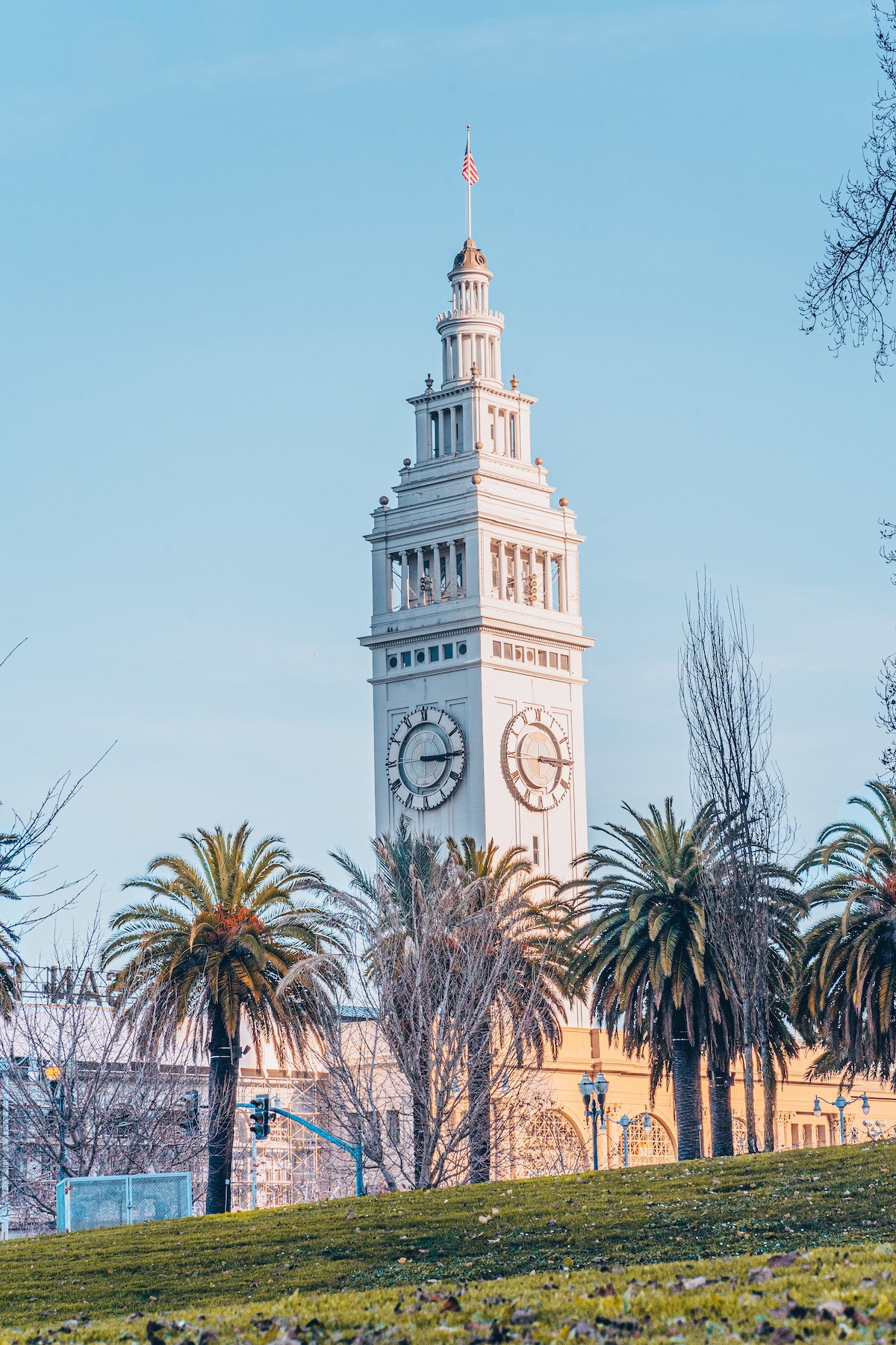 Una torre de reloj blanca en la distancia se asoma sobre las palmeras