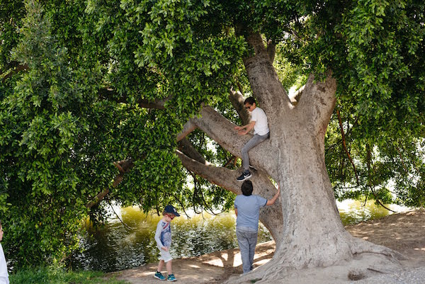 ¿No sabes dónde comer niños en Sevilla? Visite uno de los quioscos en parques como el Parque de los Príncipes para una comida rápida y fácil.