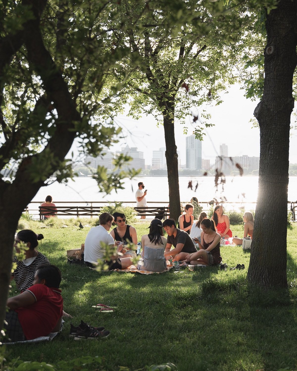 Pequeños grupos de personas haciendo un picnic en una manta bajo los árboles con el horizonte de Nueva York de fondo