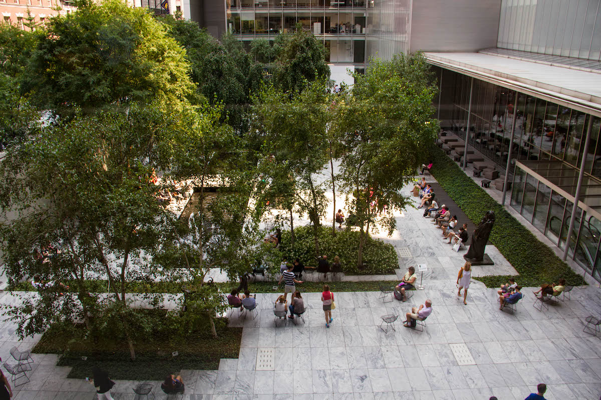 Jardín en el Museo MoMA de Nueva York con árboles y amplios caminos de piedra