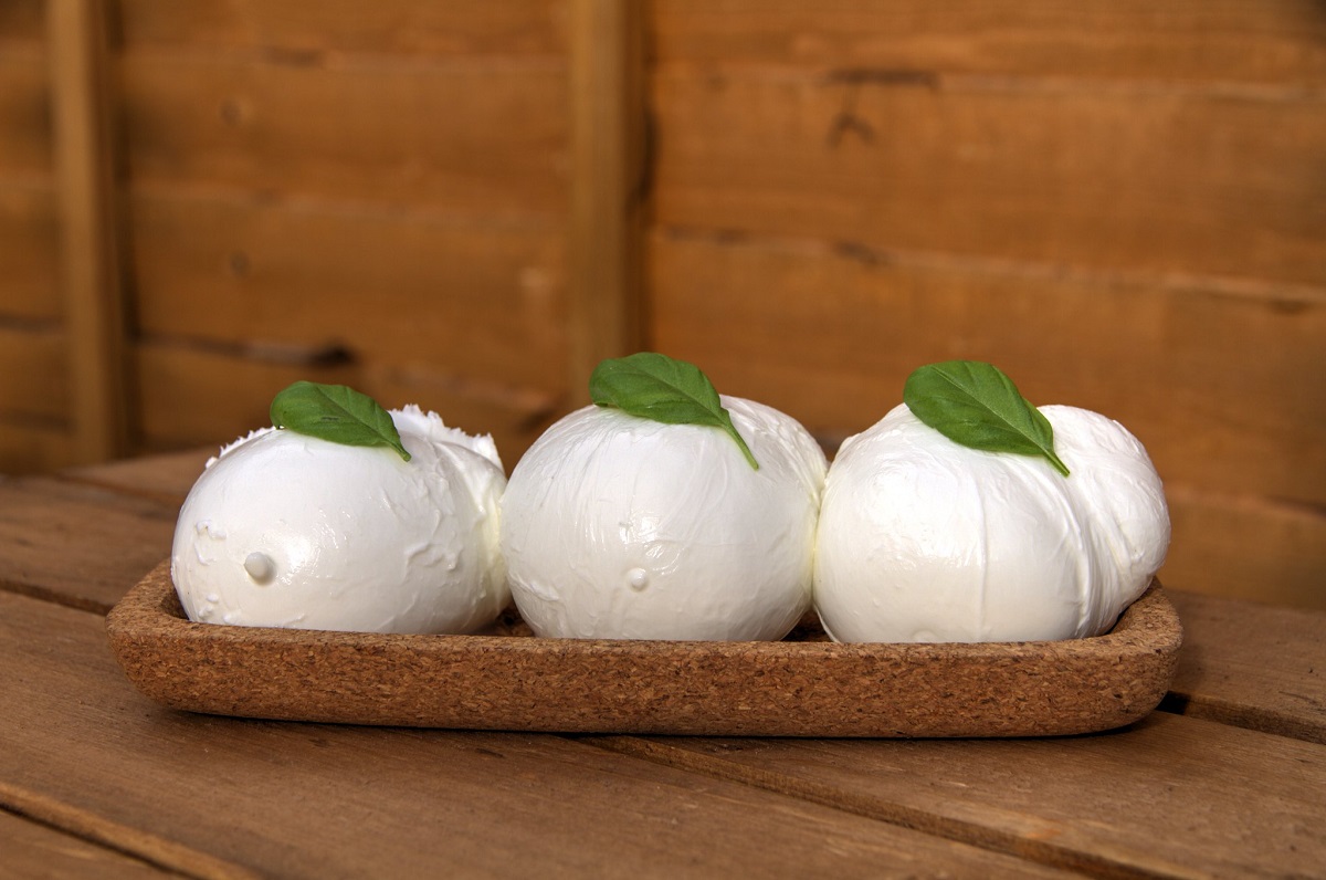 Seis bolas de mozzarella de búfala fresca y cremosa o mozzarella de búfala italiana