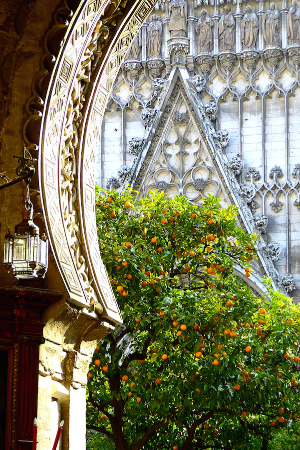 ¡No te puedes perder los naranjos de Sevilla! No importa lo que hagas, los ves por todas partes en las calles. Consulte nuestra guía de viajes definitiva a Sevilla para obtener excelentes ideas sobre cosas que hacer mientras está aquí. 