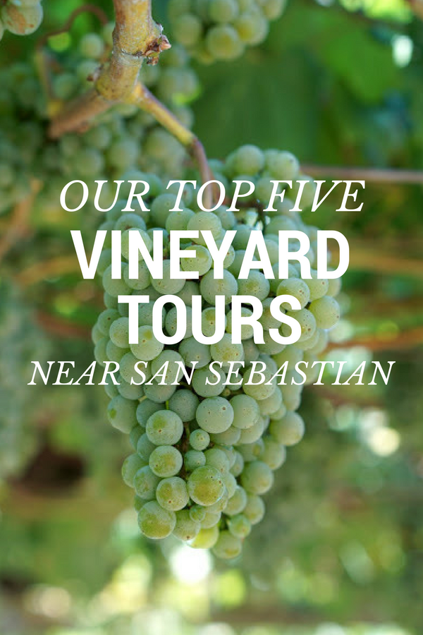¿Te encanta todo lo relacionado con el vino? ¡Sumérgete en el corazón de la cultura del vino del País Vasco con estos increíbles recorridos por los viñedos cerca de San Sebastián!