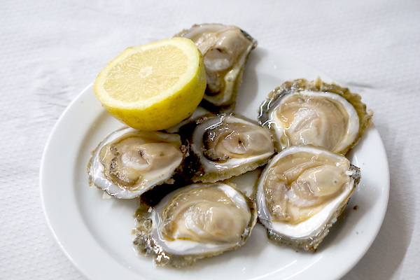 Ostras en un plato