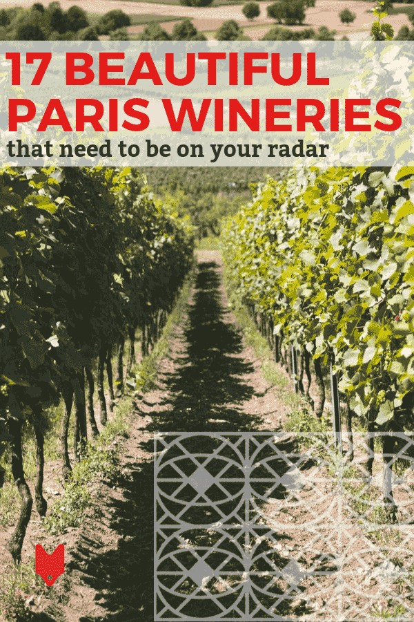Las mejores bodegas de París están a un paso de la ciudad. Aquí están algunos de nuestros favoritos.