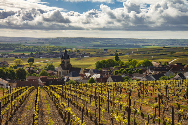 Algunas de las bodegas más bellas de París se encuentran en la región de Champagne.