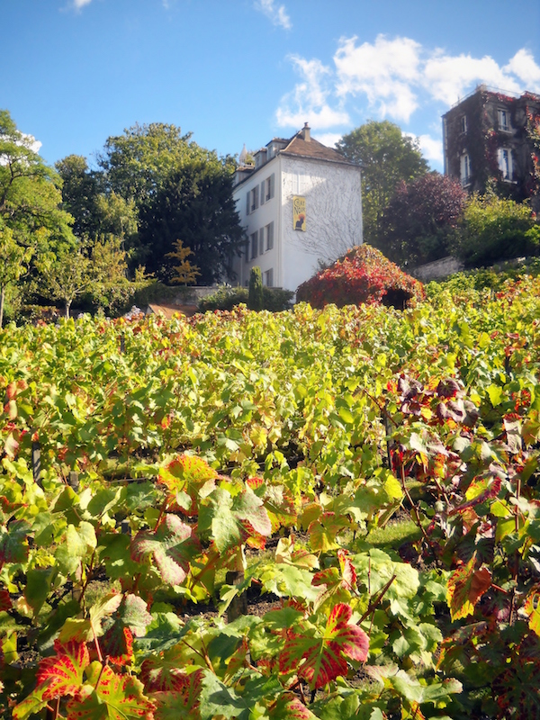 Una de nuestras bodegas favoritas en París en la ciudad misma es Clos Montmartre.