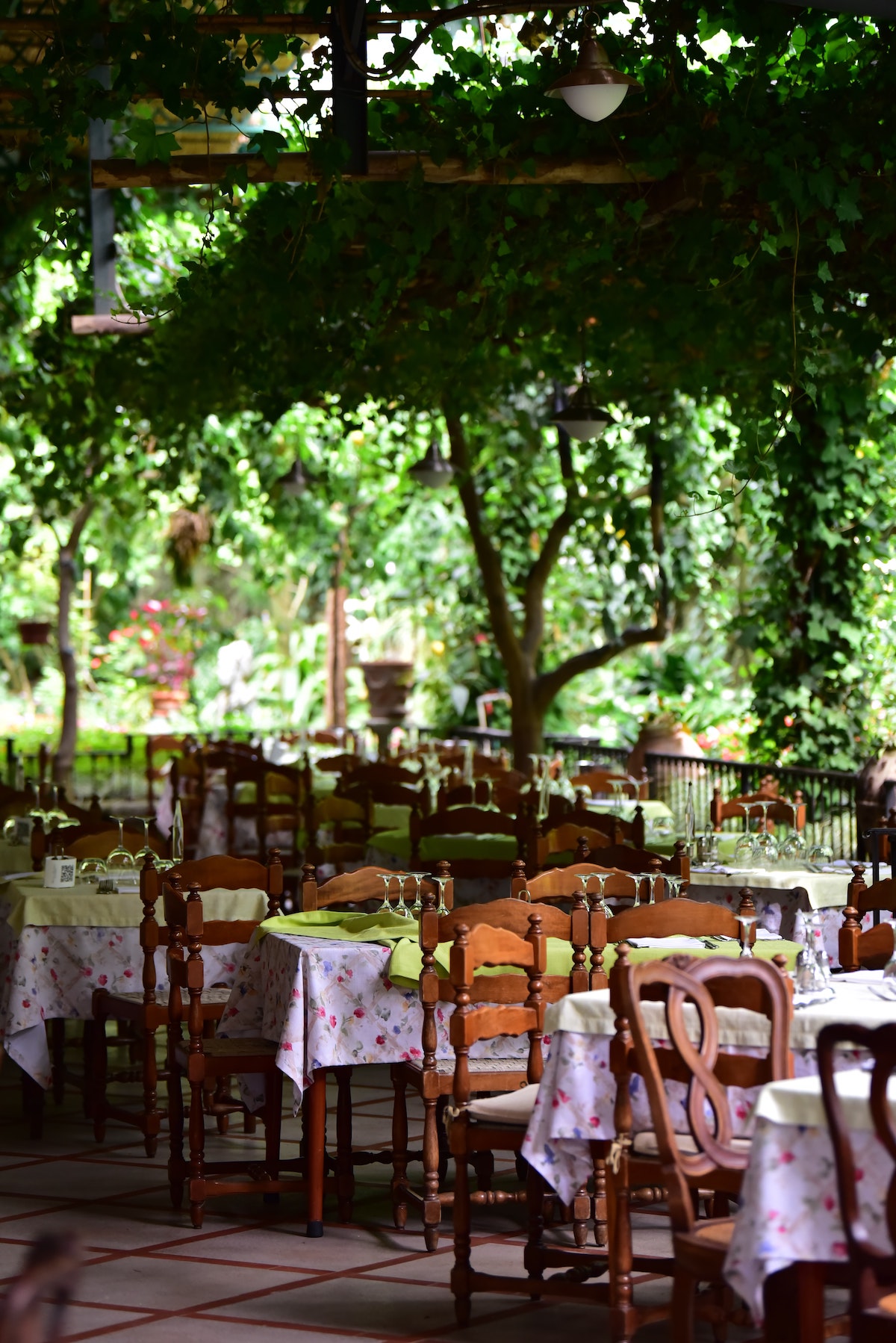 Asientos al aire libre en un restaurante en Nápoles con un dosel vegetal