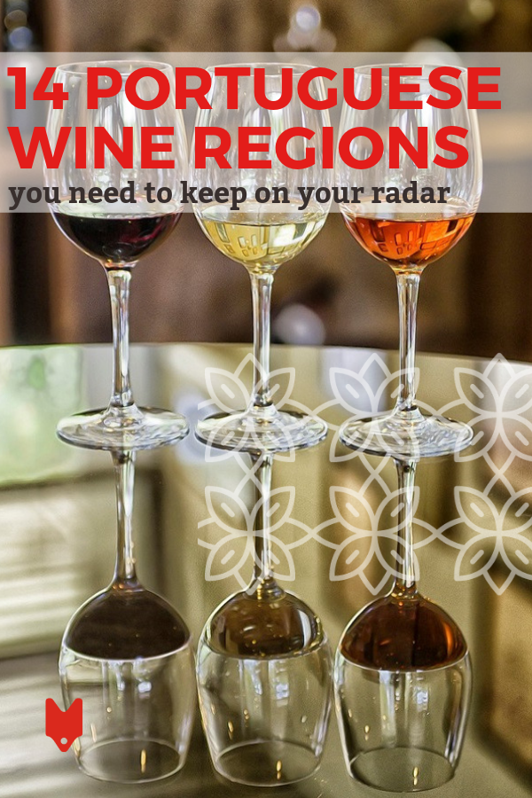 ¿Eres nuevo en el mundo del vino portugués? Si es así, esta guía para principiantes sobre dónde ir y qué probar tiene todo lo que necesita saber.